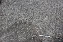 N_04 Kösseine Granit Bodenplatte Ehrenhalle