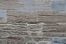 EXKURSION (ehem. Augustinerinnen-Kloster Lausnitz): Dolomitsch gebundener Kraftsdorfer Sandstein (Bernburg-Formation) mit Sedimentstrukturen. Verwitterung insb. durch im Mauerwerk aufsteigende Feuchtigkeit.