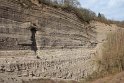 Ausschnitt der Wingertsbergwand